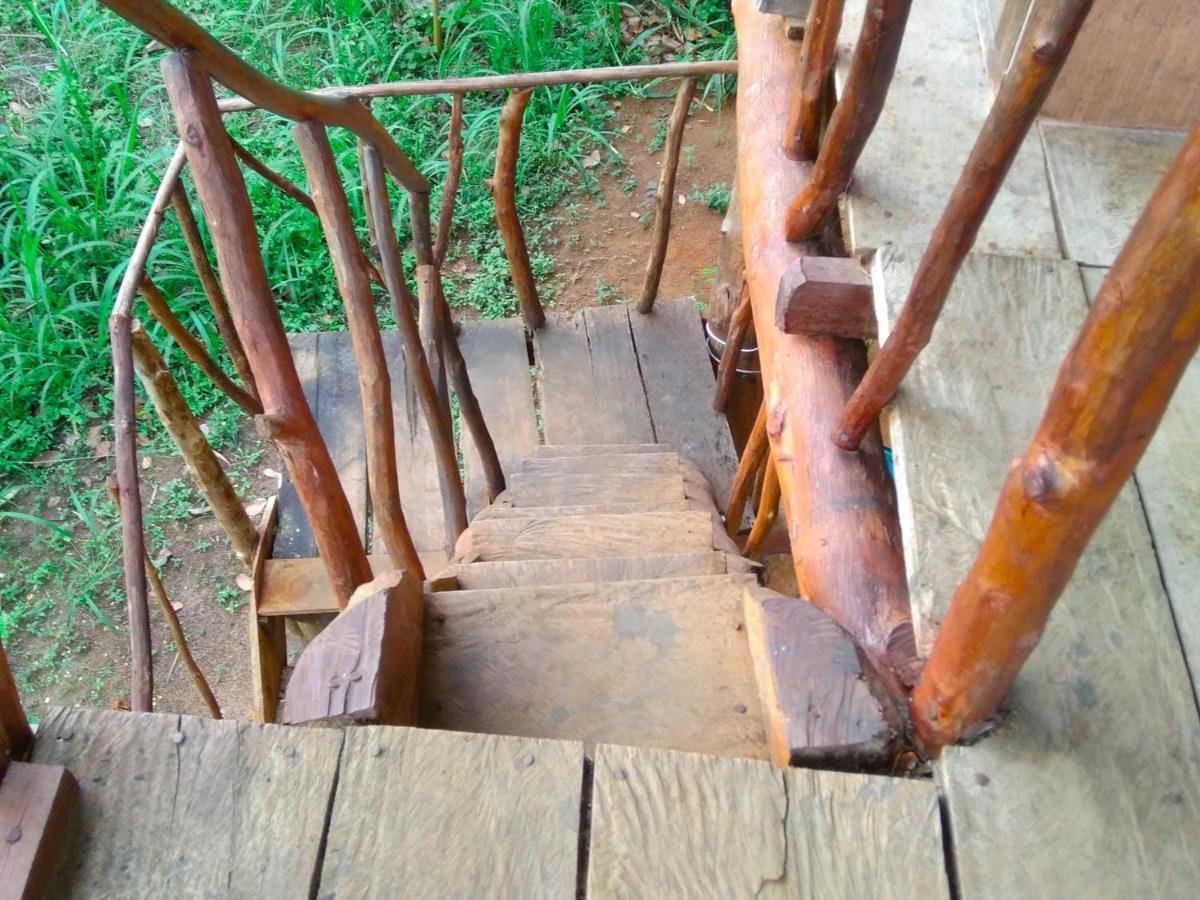 Akash Treehouse Lägenhet Sigiriya Exteriör bild