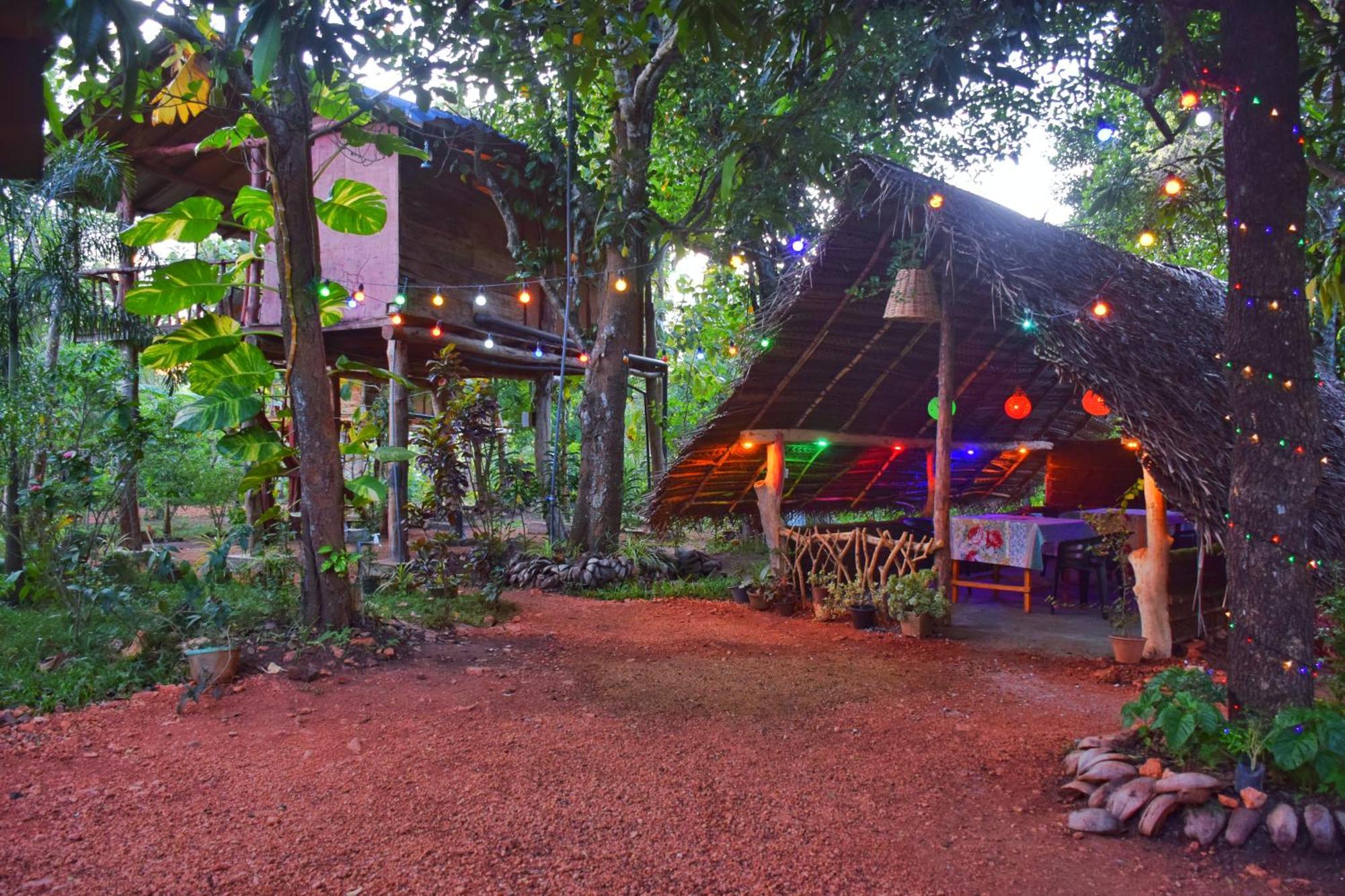 Akash Treehouse Lägenhet Sigiriya Exteriör bild